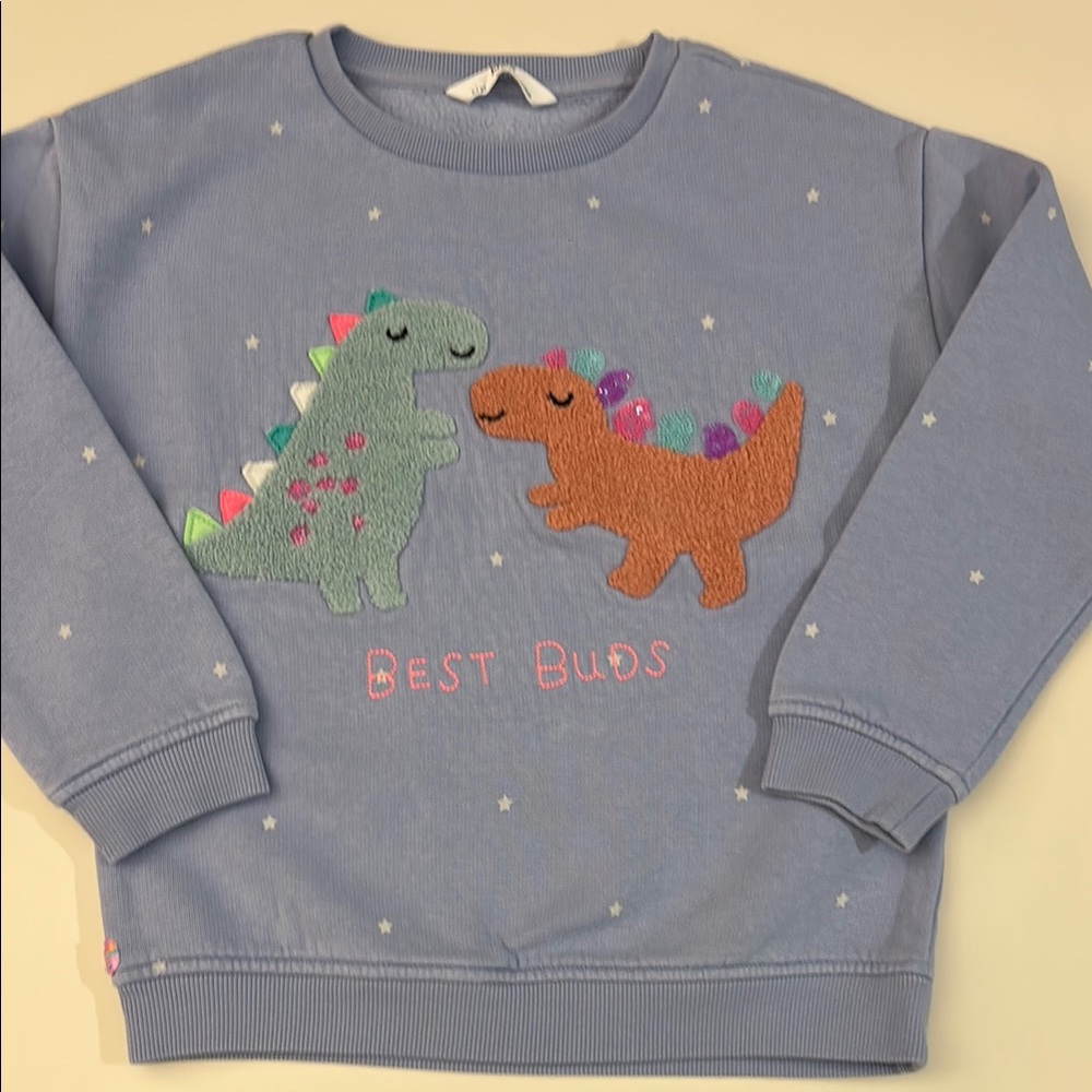Kids Dinosaur Sweatshirt - Blue